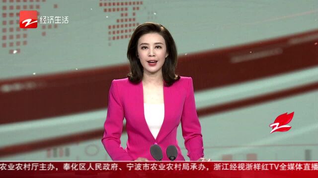 中石化白皮书:在浙已建立2085座加油站