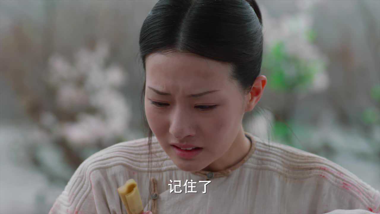 梦回 29集