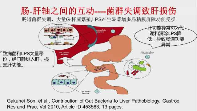 【云讲堂29期】中科馆大讲堂:益生菌与健康