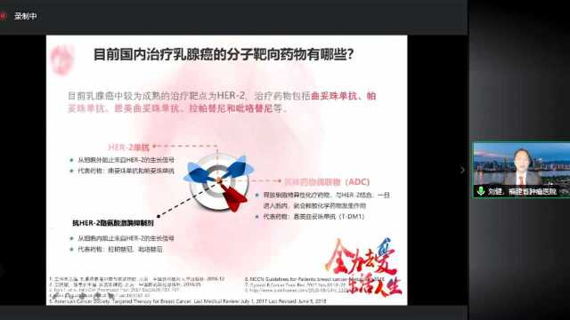 目前国内治疗乳腺癌的分子靶向药物有哪些?