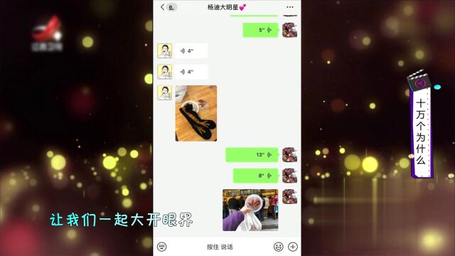 十万个为什么精彩片段