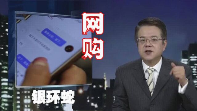 女孩买毒蛇饲养反被咬,一命呜呼