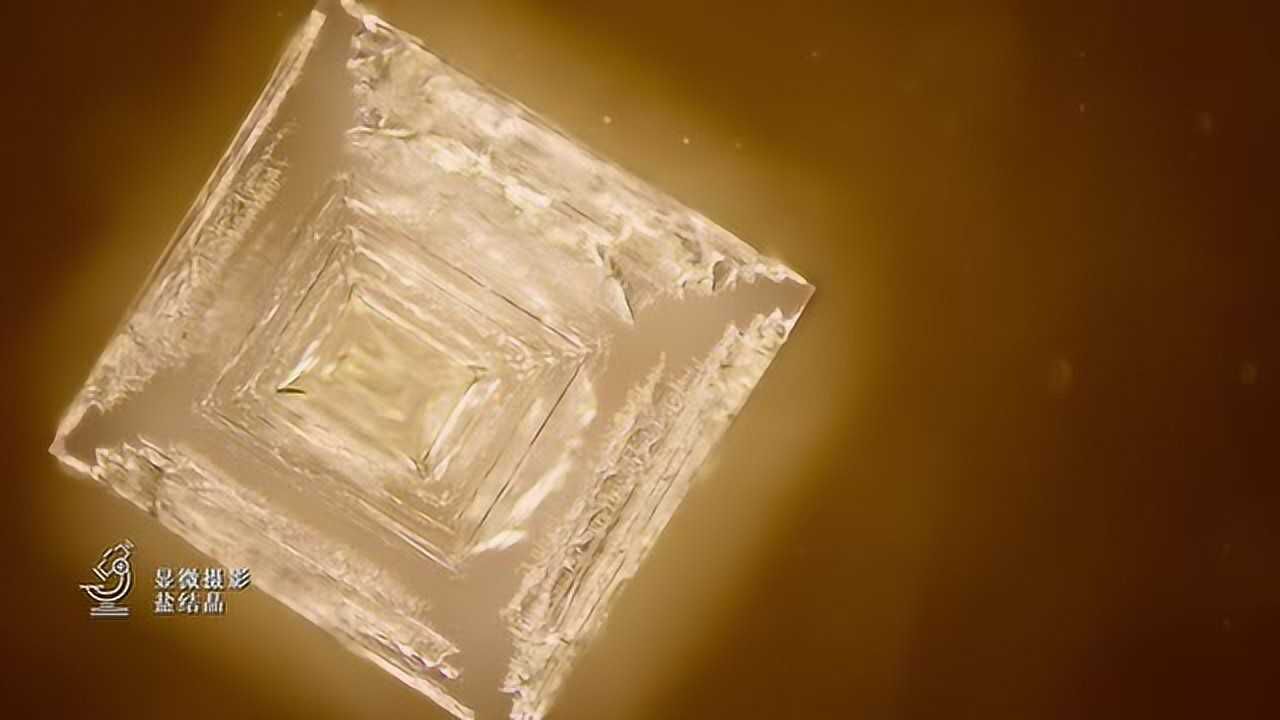 微观镜头下盐结晶的过程也太唯美了吧_高清1080P在线观看平台_腾讯视频