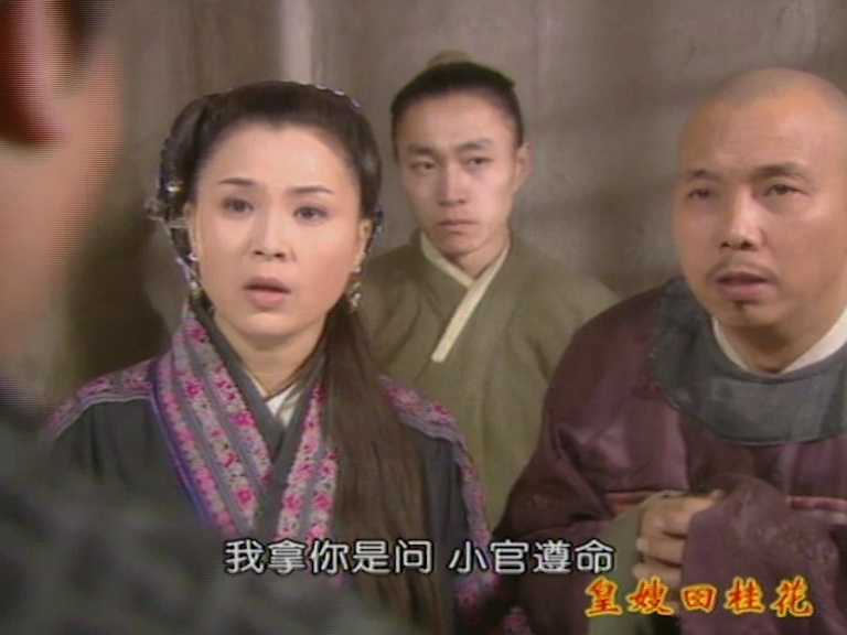 皇嫂田桂花2 25集