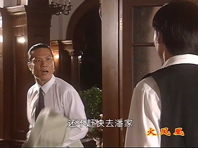 火凤凰 31集
