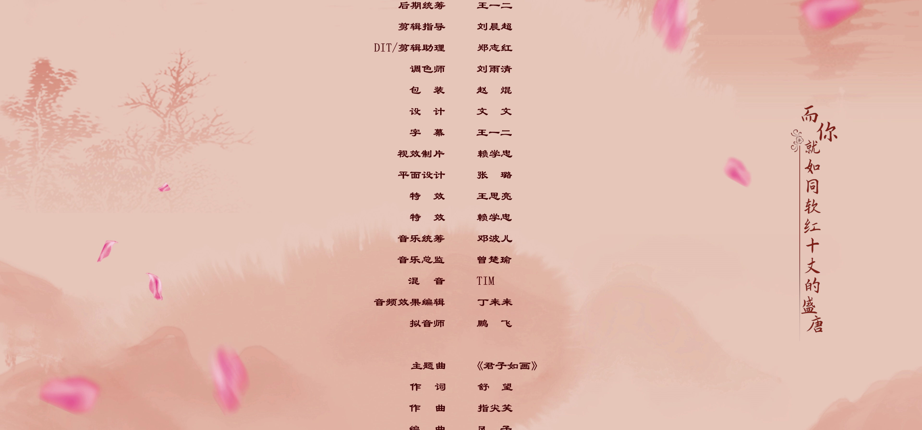 神医大人别撩我 23集