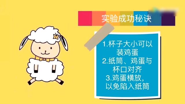 白糖科学实验01不会摔碎的鸡蛋高光片段