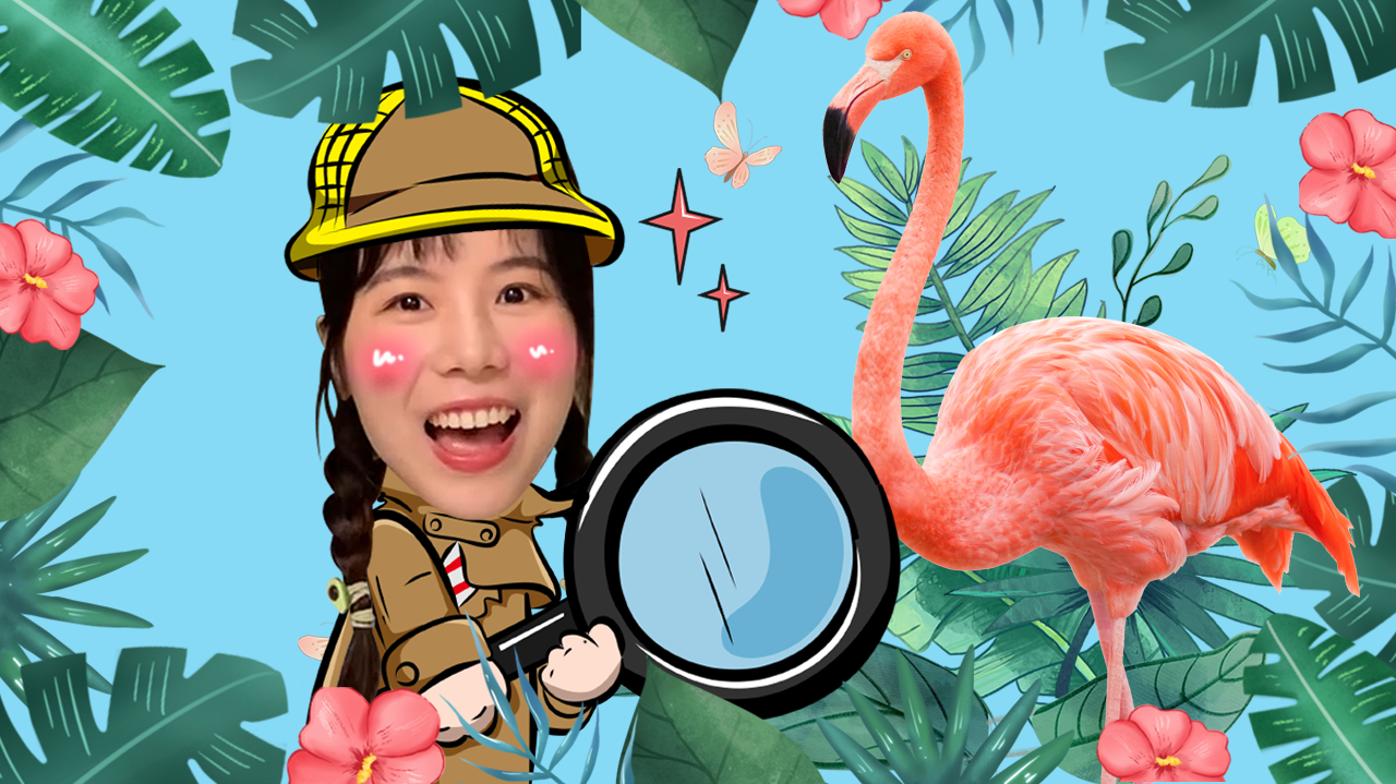 苏菲亚来了：探奇妙知识 68集