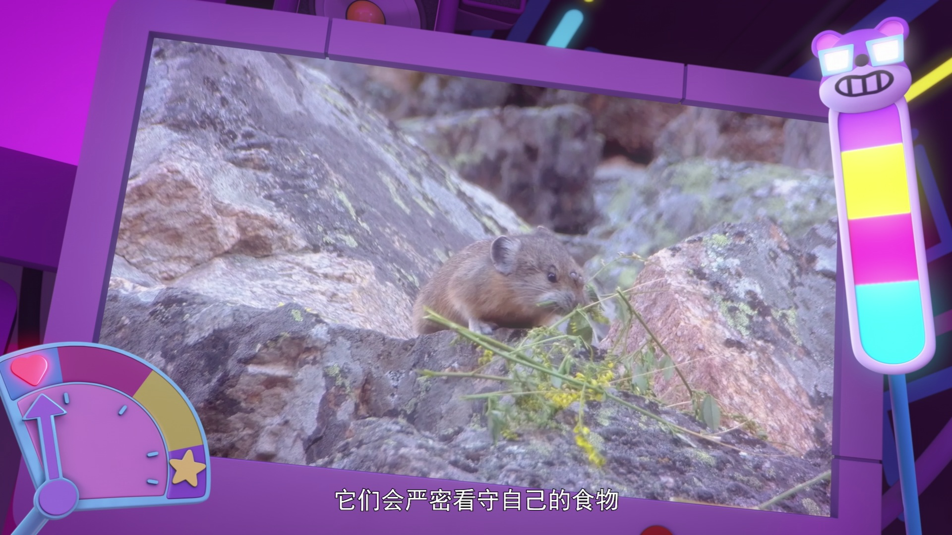 动物神探队[磨耳朵英文版] 31集