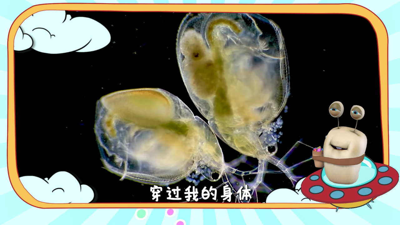 白白侠的微生物朋友 8集