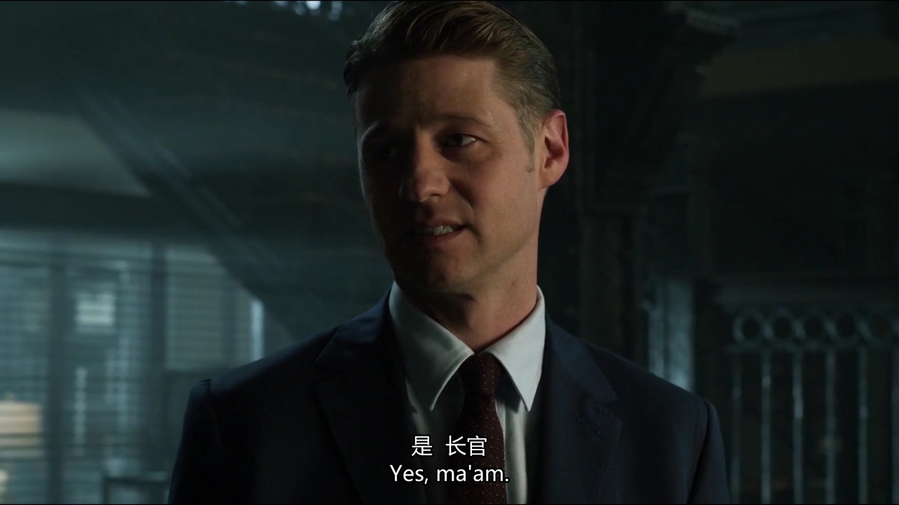 哥谭镇 第二季 5集