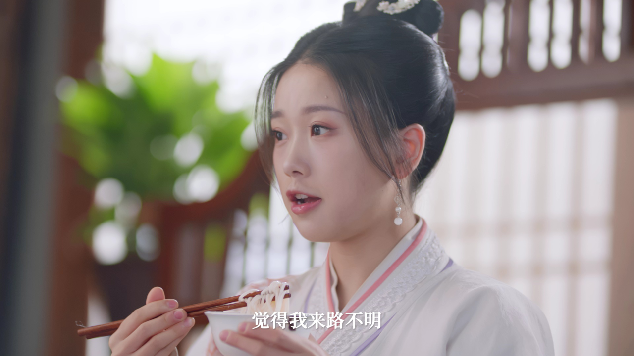应有长风倚碧鸢 13集