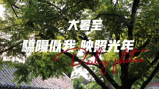 【大暑节气】骄阳似我 映照光年