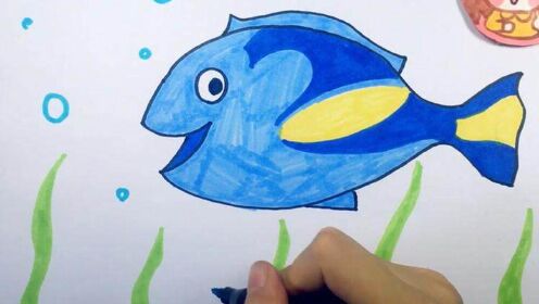 可乐姐姐学画画海底总动员多莉鱼