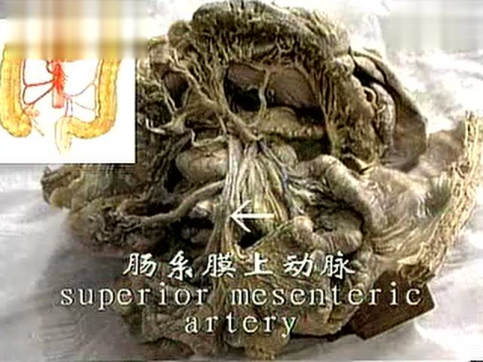 _高清1080P在线观看平台_腾讯视频