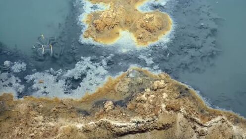 墨西哥湾海底“死亡之池”：生物进入必死无疑