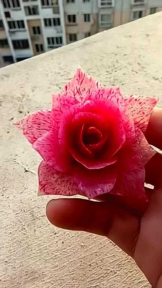 神人厨师红萝卜雕刻月季花 美呆了