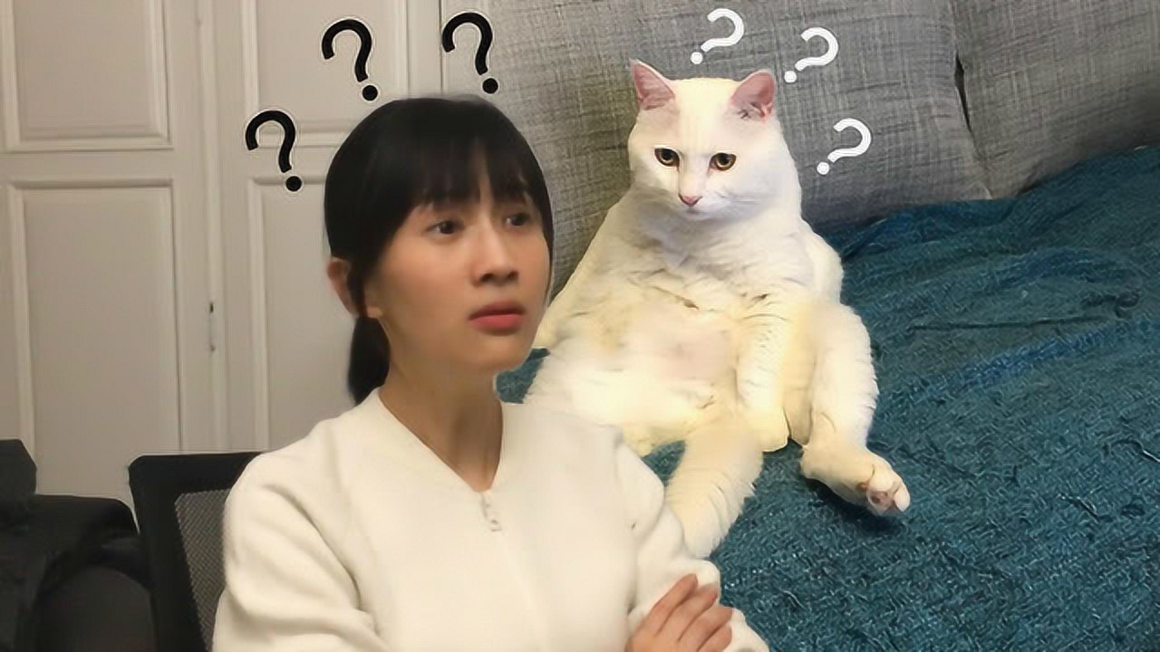 papi酱不定期提起的老胡_高清1080p在线观看平台_腾讯视频