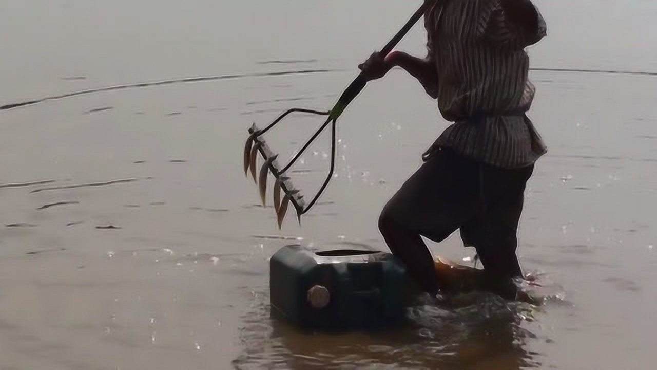 非常神奇的铁耙耙鱼一种从未见过的捕鱼方式
