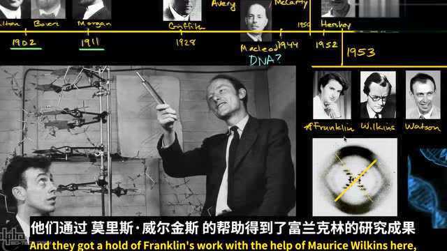 DNA双螺旋的发现历程_腾讯视频