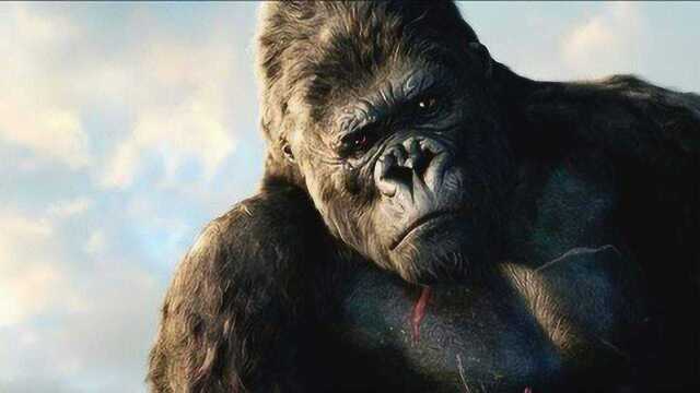 远古巨猿因人类的出现而灭绝真相到底如何