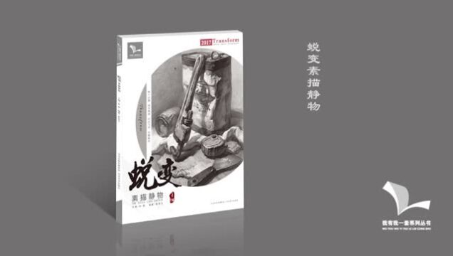 蜕变素描静物.mp4