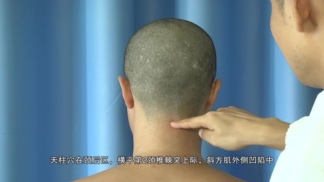 快速取穴天柱穴_高清1080P在线观看平台_腾讯视频