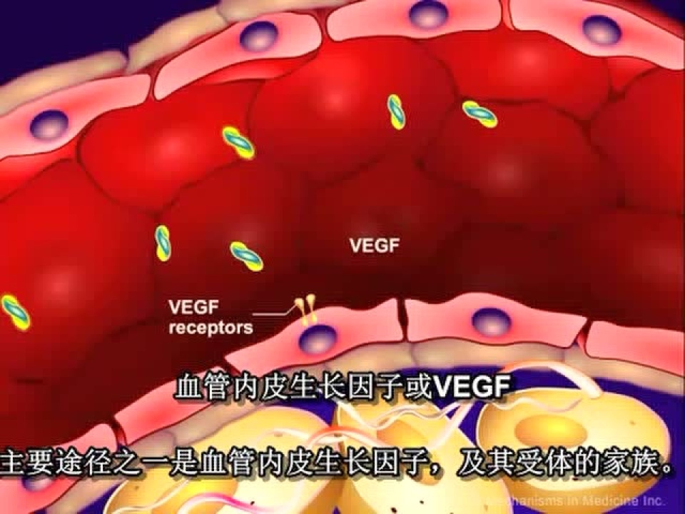 高清1080P在线观看平台_腾讯视频