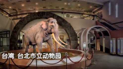 《大象林旺》历史版预告片