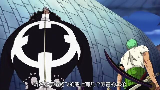 海贼王草帽海贼团vs王下七武海暴君熊索隆实力强悍