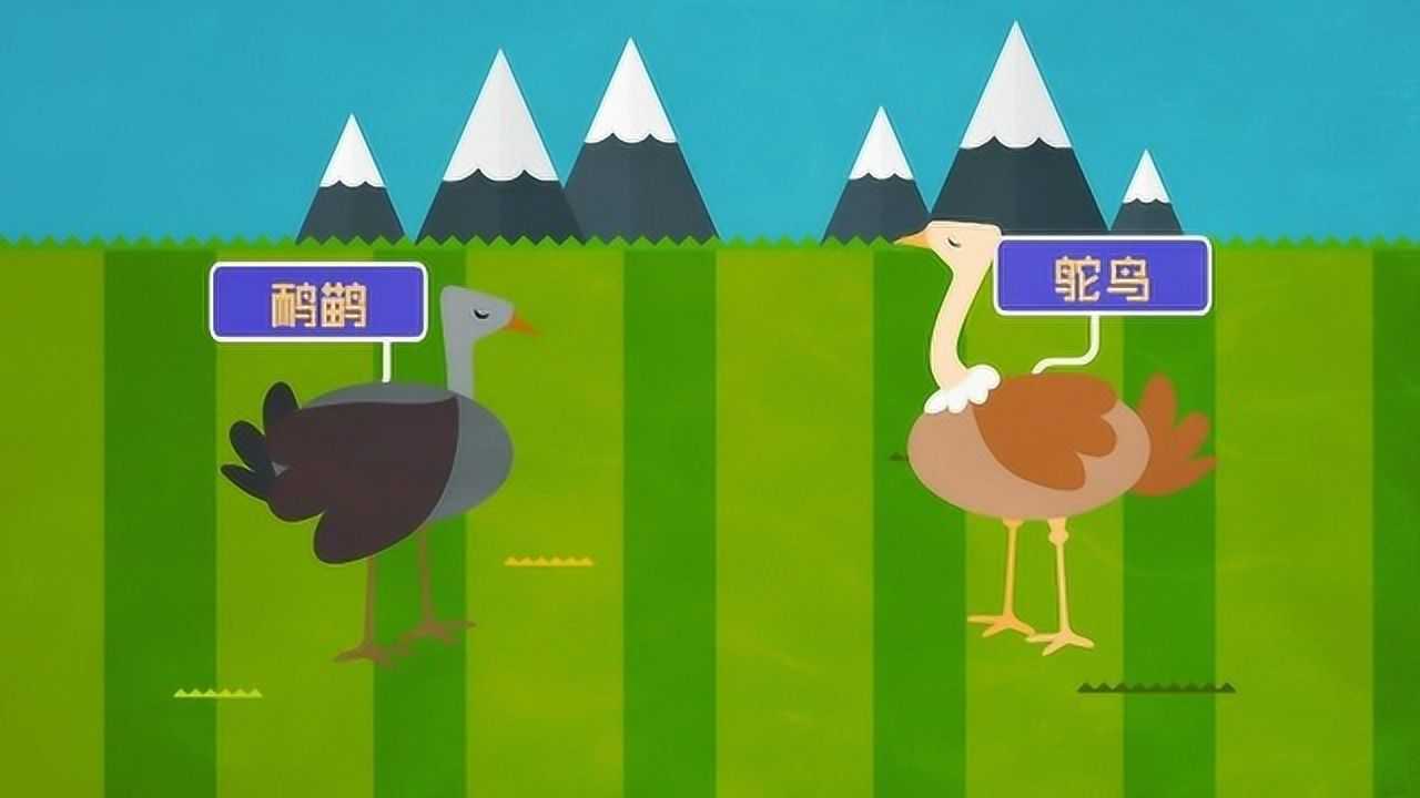 飞禽与走禽的由来——鸟的进化及分类_高清1080P在线观看平台_腾讯视频