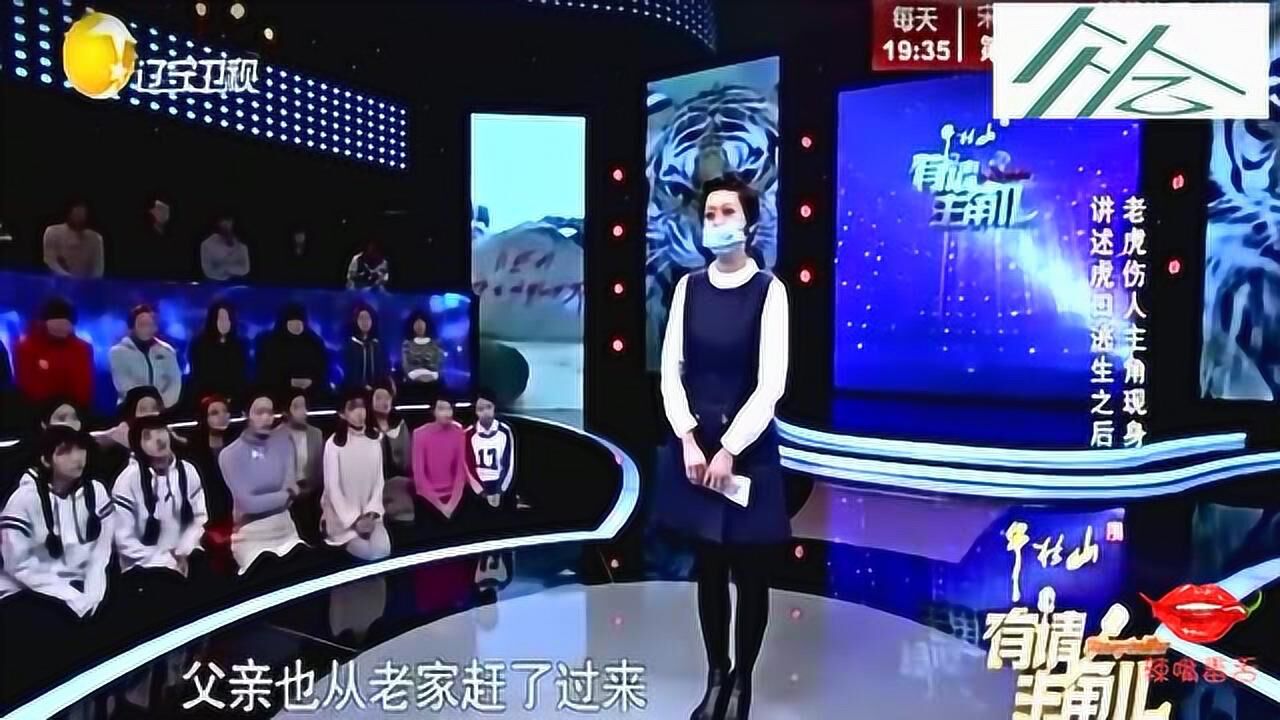 八达岭老虎赵菁图片