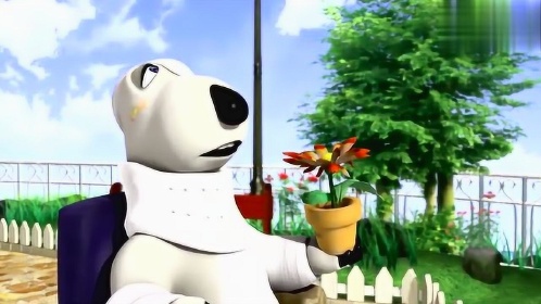 倒霉熊:熊坚强全身骨折骑着轮椅去赏花,却摔进花丛中