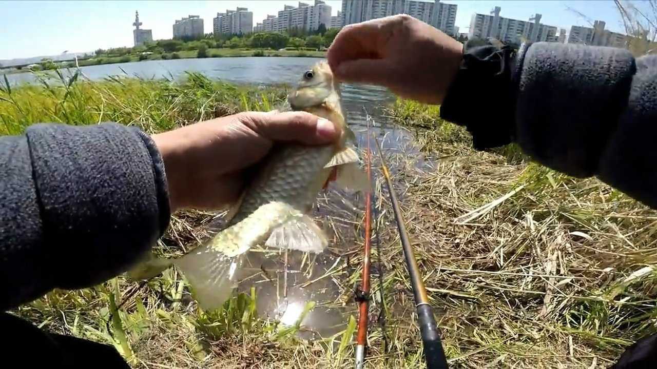 釣魚:颳風的天氣好釣魚,他這也太好釣了吧!_騰訊視頻