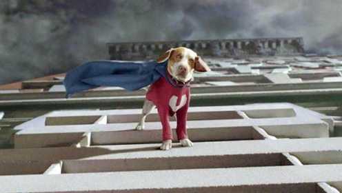 几分钟看《超狗任务》狗狗变成超人，拯救人类！