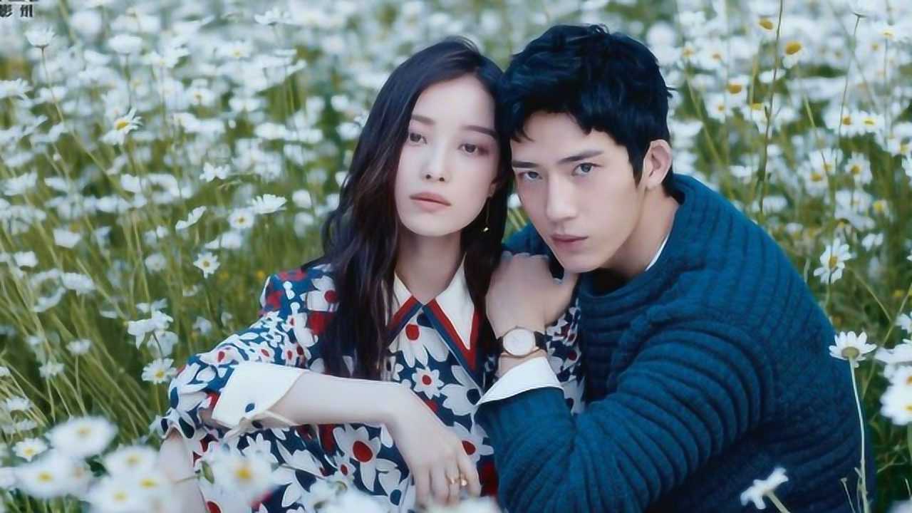 倪妮井柏然芭莎写真曝光网友以后再也看不到两人合作了