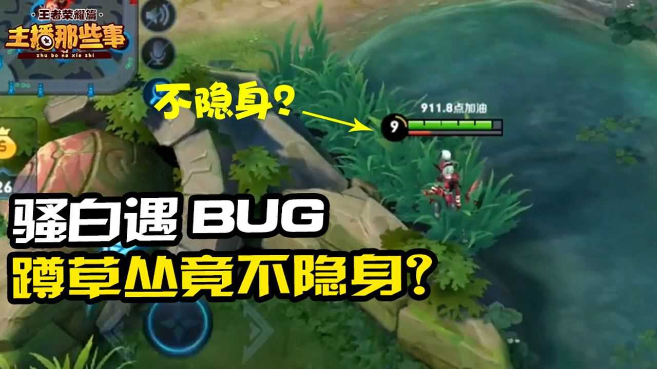 王者荣耀:草丛不隐身bug 被看的清清楚楚 骚白:这我还蹲个鬼啊