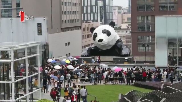 四川成都:爬墙熊猫享受迪士尼待遇 成都乐团国庆表演引围观