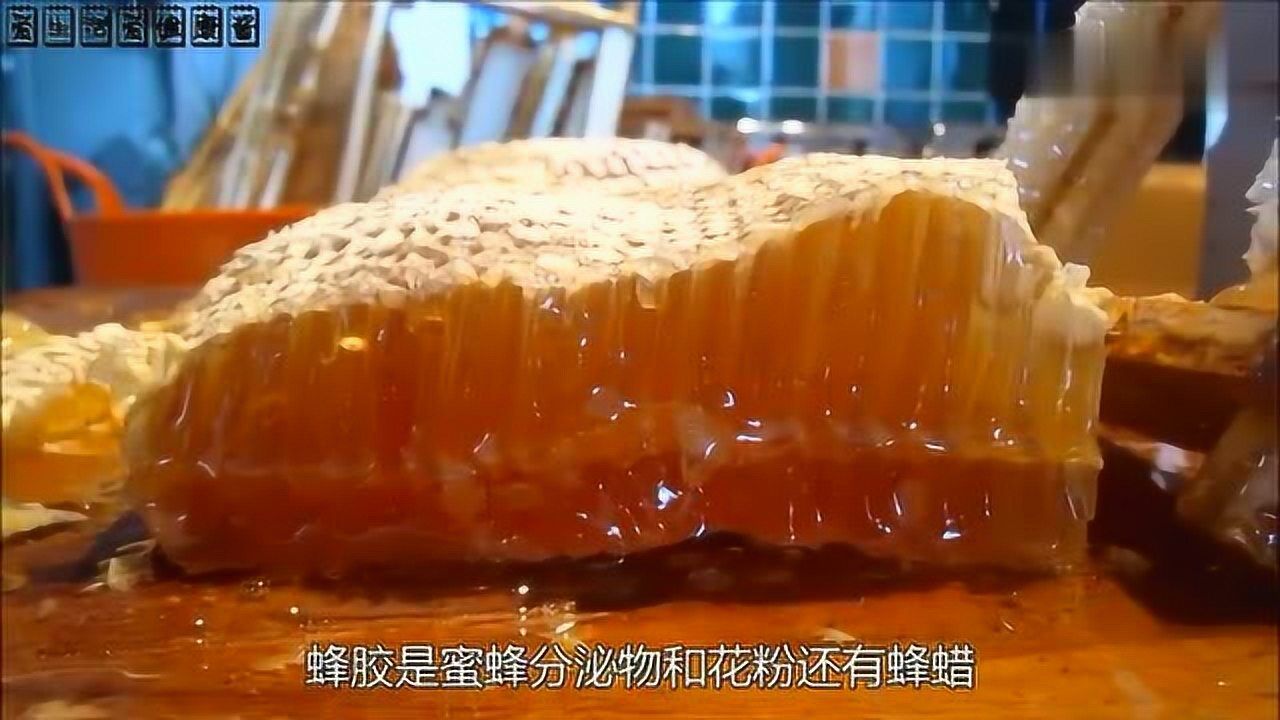 蜂胶的功效有哪些?蜂胶虽好,但要注意这些食用方法!腾讯视频