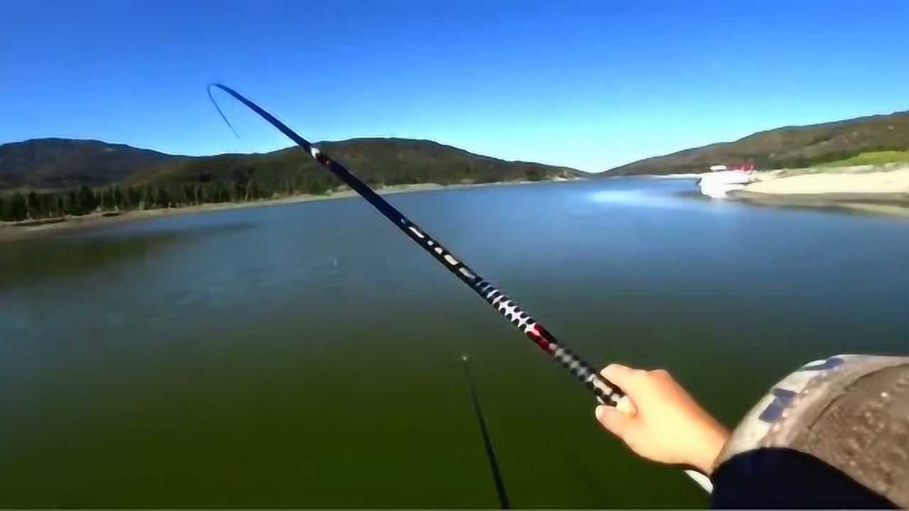 钓鱼:台钓鲤鱼,最爽的就是提竿那一瞬间!