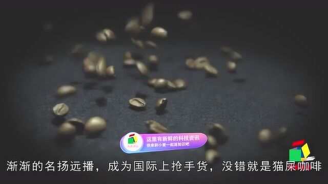 这几种动物便便不仅可以食用,还价值不菲,好多人都没见过