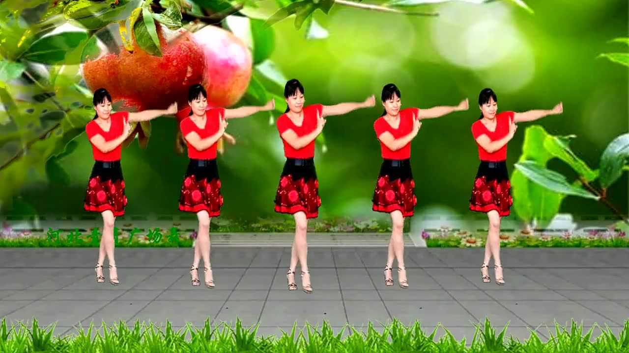 河北青青广场舞《石榴红了》16步附口令教学