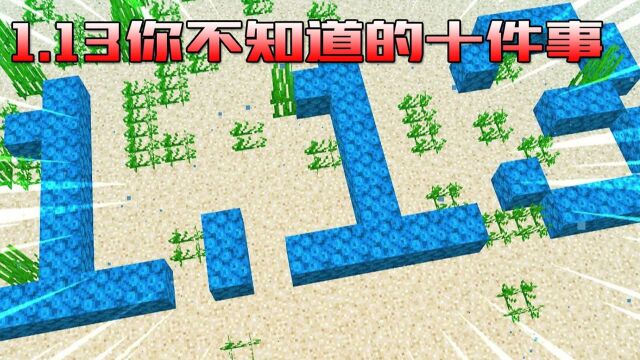 我的世界:1.13你不知道的10件事,海洋之心有何用?