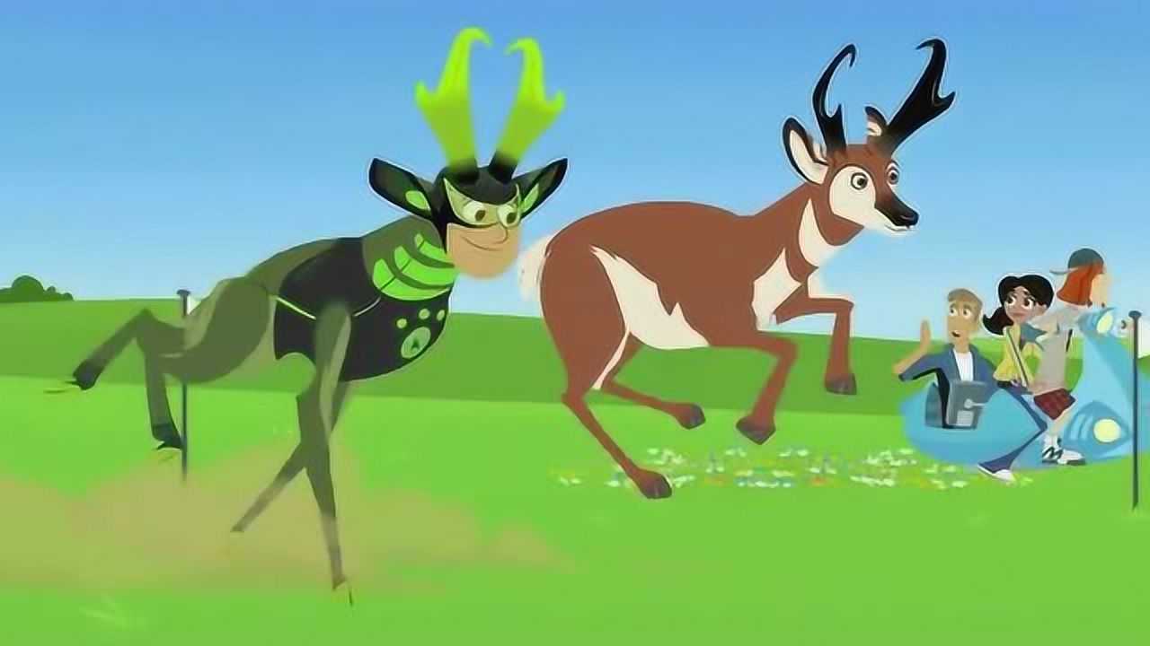 动物兄弟:动物兄弟和羚羊比赛跑步,太帅了_腾讯视频