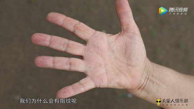 为什么每个人的指纹都不一样指纹的作用是什么