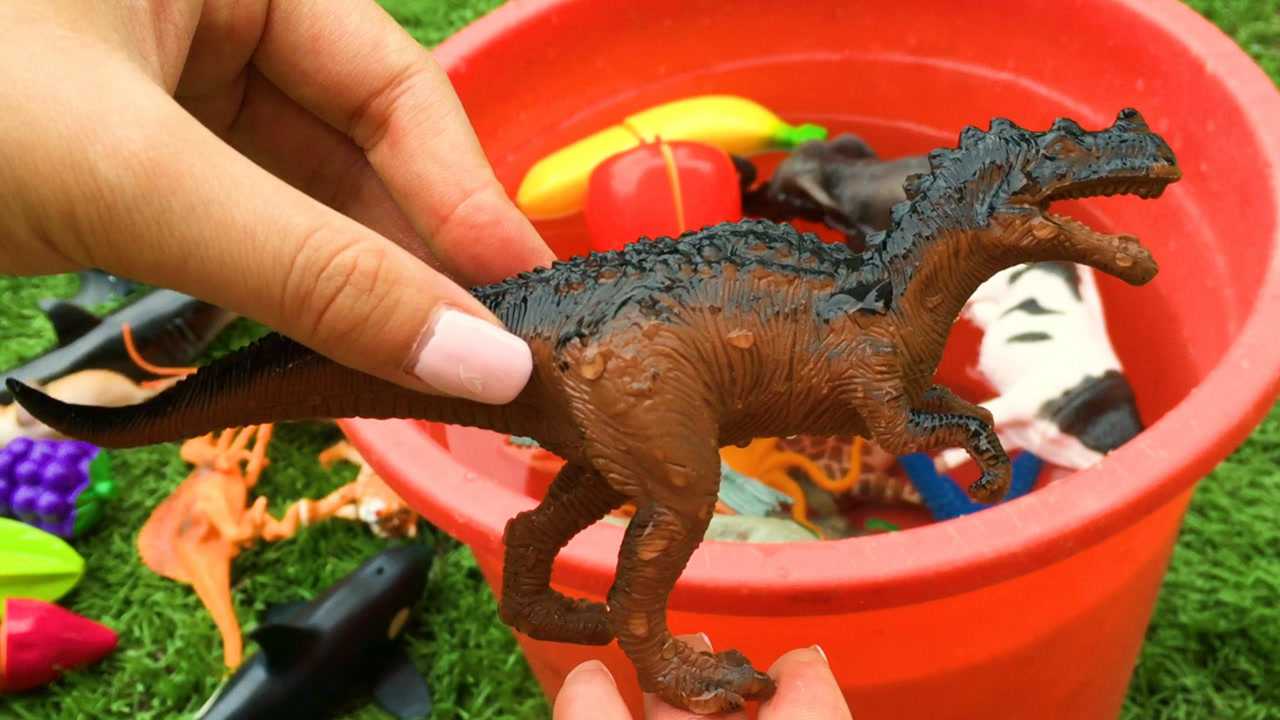 认识鼻角龙棘背龙肿头龙等多种恐龙名字 趣味识恐龙