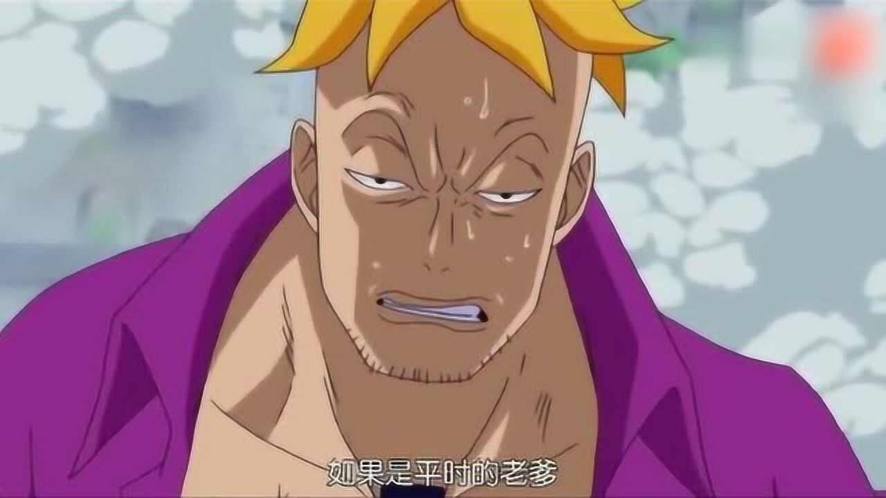 海贼王顶上战争白胡子遇刺没想到最担心的是老沙
