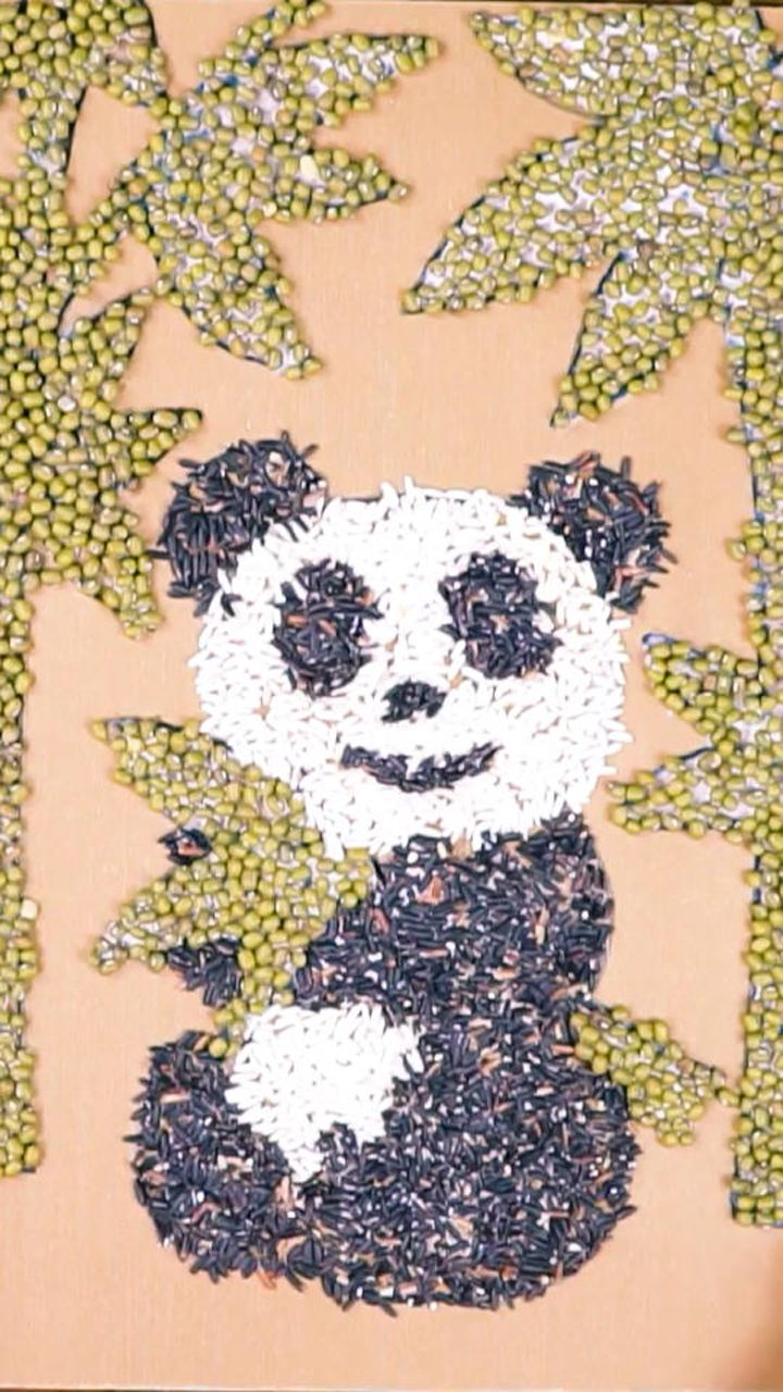 用五谷杂粮画熊猫,了解一下_腾讯视频