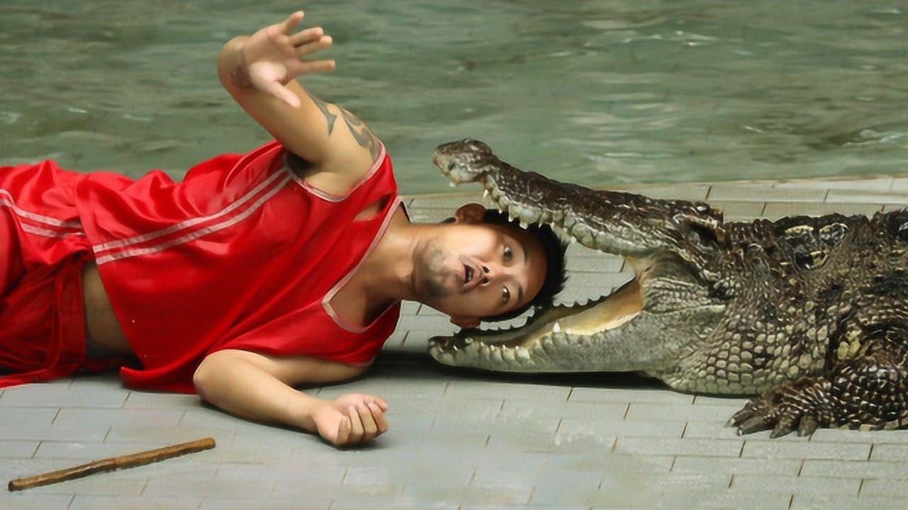 驯鳄师很自信的表演不料下一秒羊入虎口镜头拍下惊心一刻