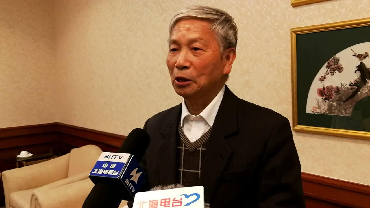 中国工程院院士曾恒一谈北海发展向海经济